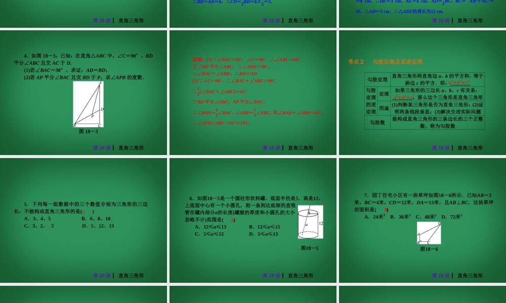 中考数学 第四单元 三角形(二)复习课件