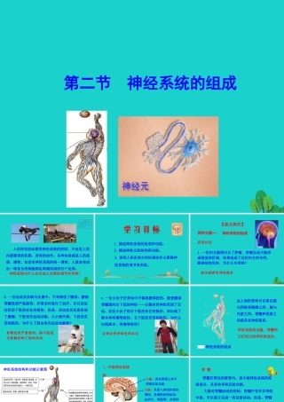 七年级生物下册 4.6.2 神经系统的组成课件(新版)新人教版 课件