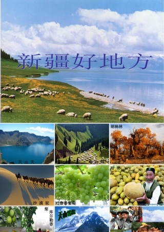 中学七年级历史上册 第3课 收复新疆课件2 鲁教版五四制 课件