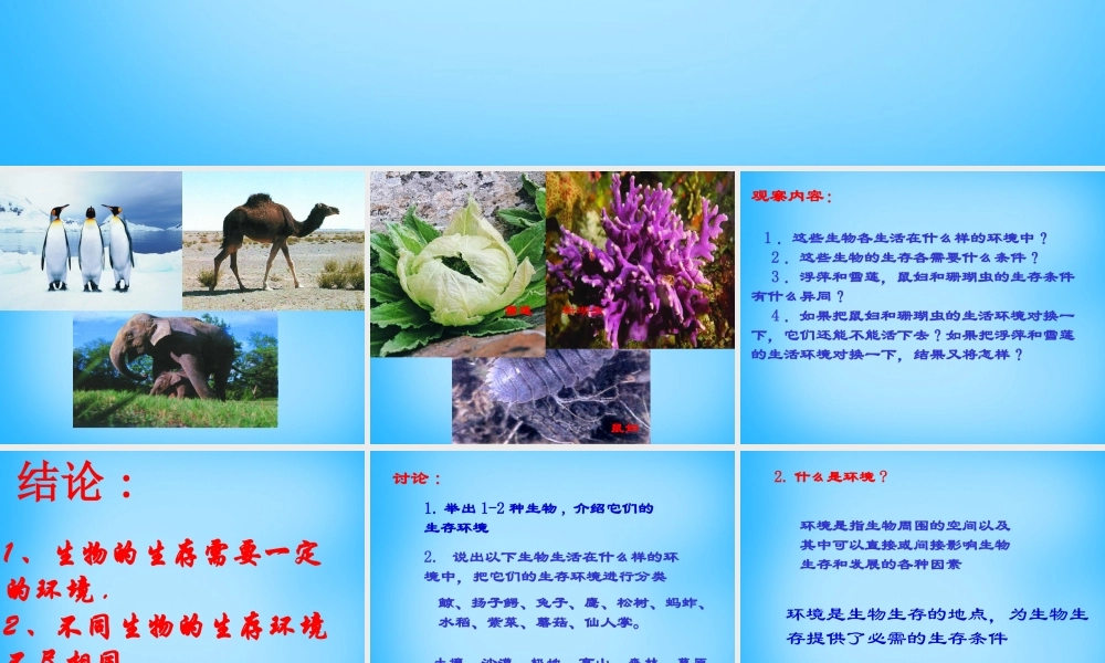 中学七年级生物上册 2.2.1(生物生存的环境)课件 (新版)苏科版 课件