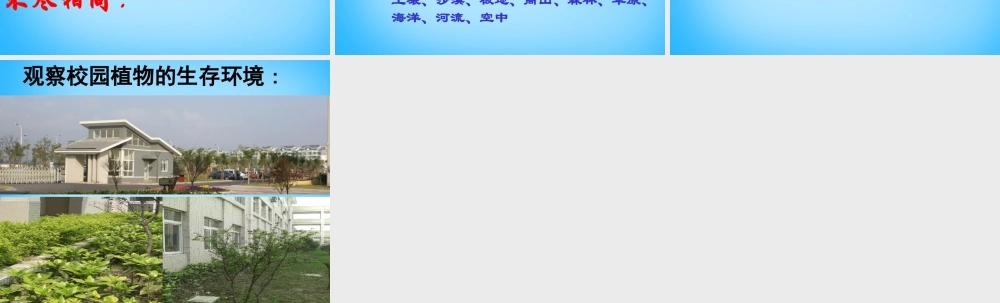 中学七年级生物上册 2.2.1(生物生存的环境)课件 (新版)苏科版 课件