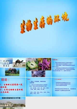 中学七年级生物上册 2.2.1(生物生存的环境)课件 (新版)苏科版 课件