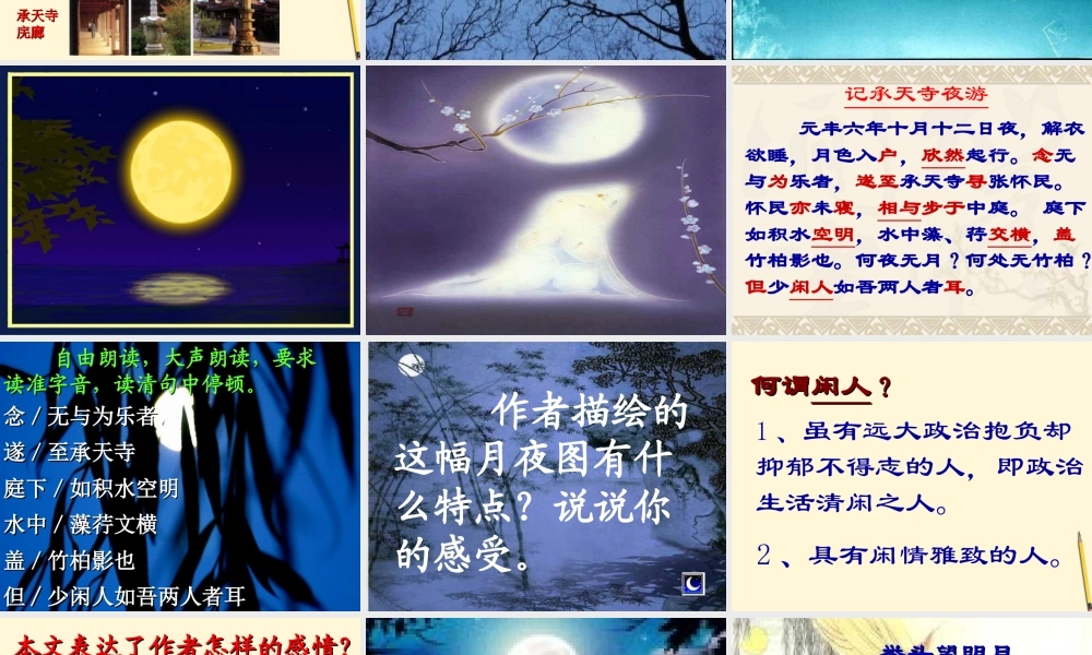 八年级语文第28课(记承天寺夜游)课件 北京课改版 课件