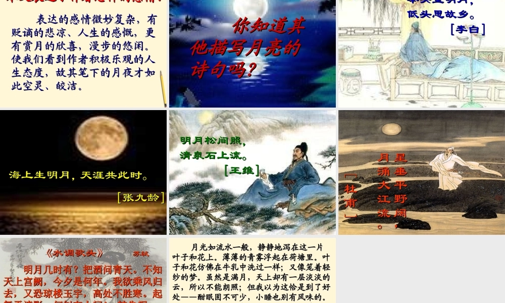 八年级语文第28课(记承天寺夜游)课件 北京课改版 课件