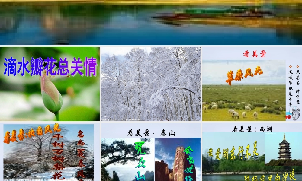 初中语文 多角度描写景物课件