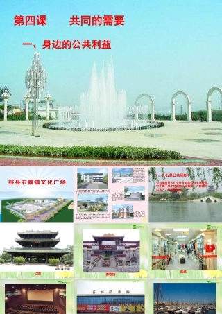 八年级政治下册 身边的公共利益课件 教科版 课件