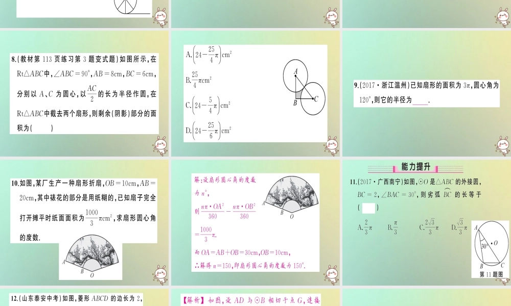 九年级数学上册 第二十四章 圆 244 弧长和扇形面积 第1课时 弧长和扇形面积习题课件 (新版)新人教版 课件