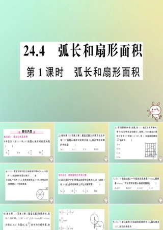 九年级数学上册 第二十四章 圆 244 弧长和扇形面积 第1课时 弧长和扇形面积习题课件 (新版)新人教版 课件