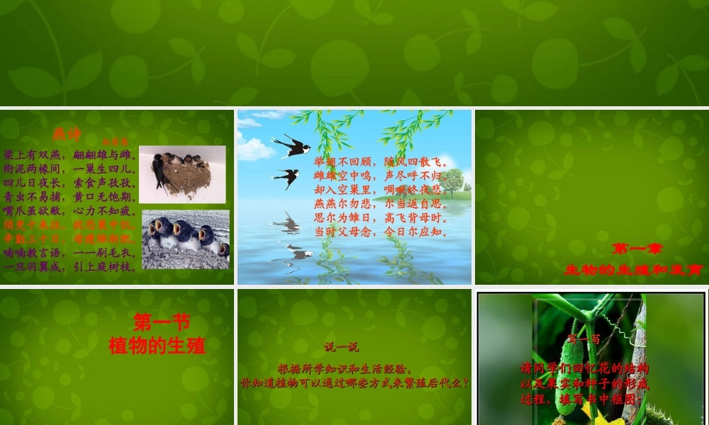 八年级生物下册(第七单元 第一章 第1节 植物的生殖)课件 新人教版 课件