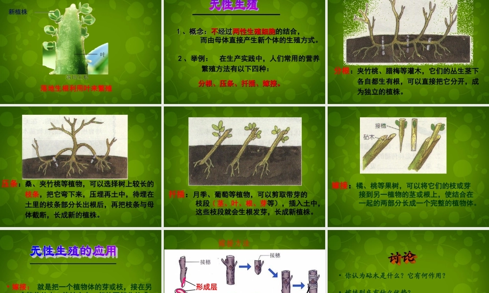 八年级生物下册(第七单元 第一章 第1节 植物的生殖)课件 新人教版 课件