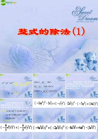 八年级数学上册 15.4.2整式的除法(一)课件 人教新课标版 课件