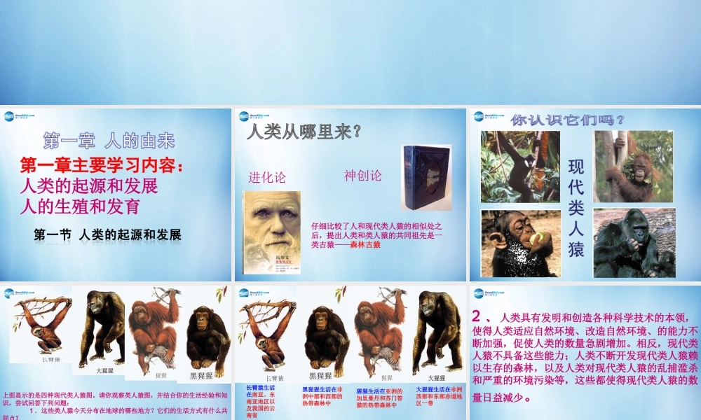 中学七年级生物下册 第一章 第一节 人类的起源和发展课件 (新版)新人教版 课件