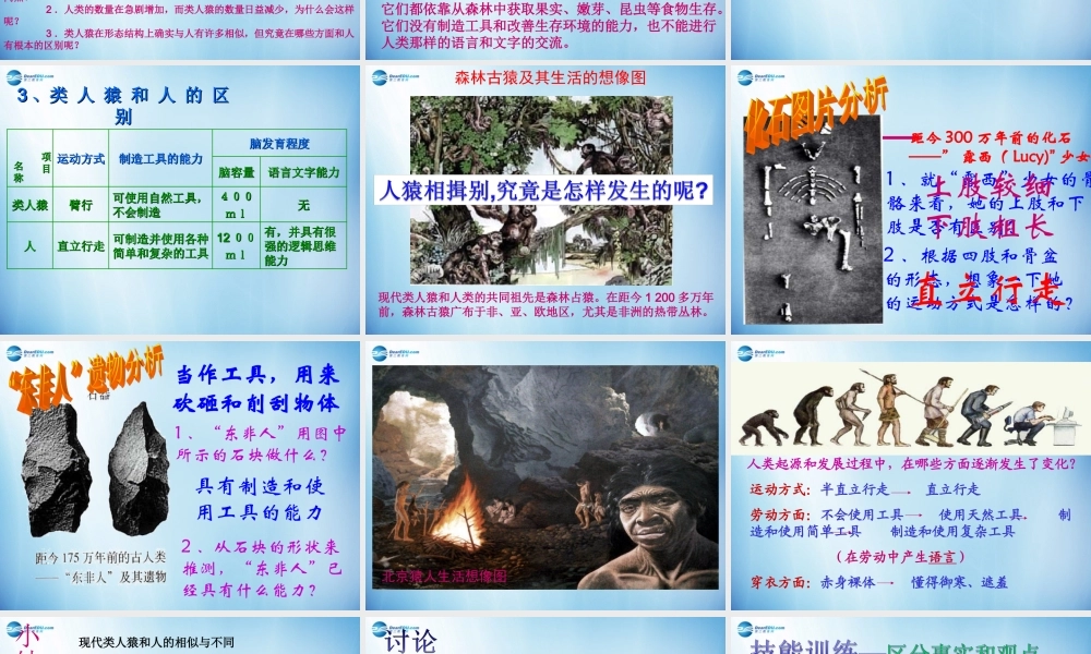 中学七年级生物下册 第一章 第一节 人类的起源和发展课件 (新版)新人教版 课件