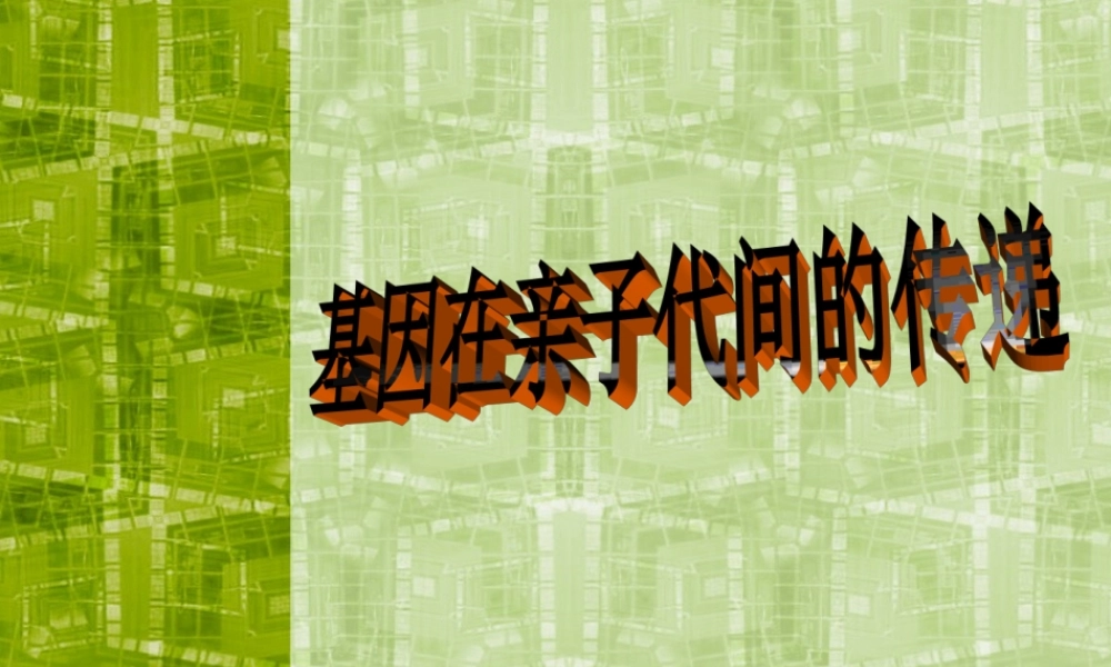 八年级生物新人教版基因在亲子代间的传递 ppt 课件