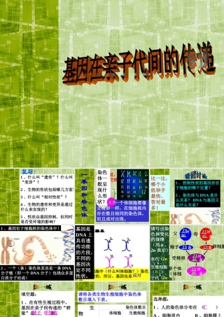 八年级生物新人教版基因在亲子代间的传递 ppt 课件