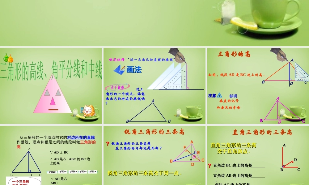 八年级数学上册 11.1.2(三角形的高、中线、角平分线课件)复习课件 (新版)新人教版 课件