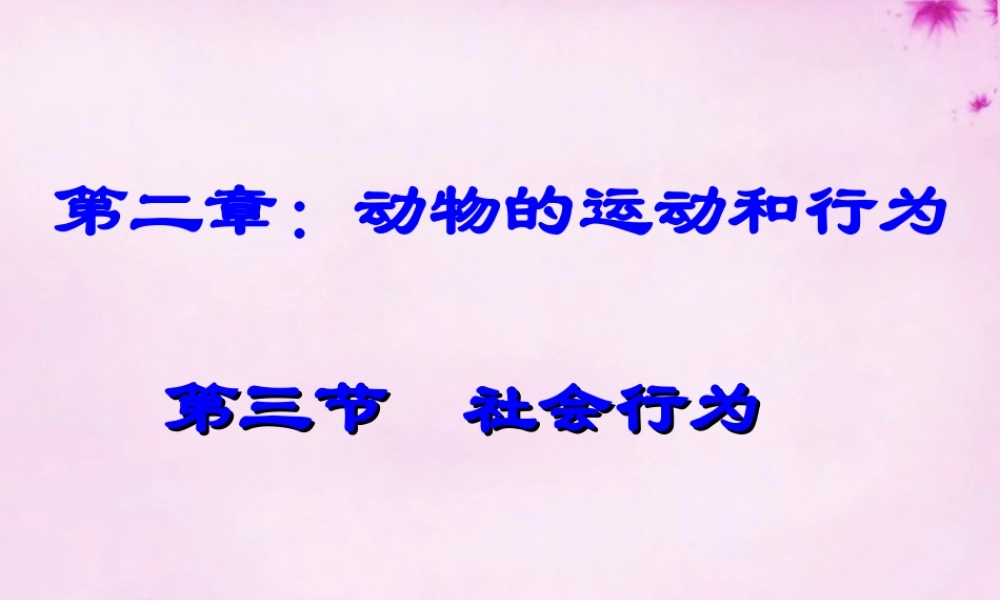 八年级生物上册 5.2.3 社会行为课件1 (新版)新人教版 课件