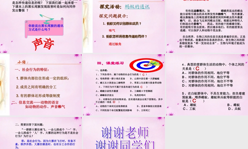 八年级生物上册 5.2.3 社会行为课件1 (新版)新人教版 课件