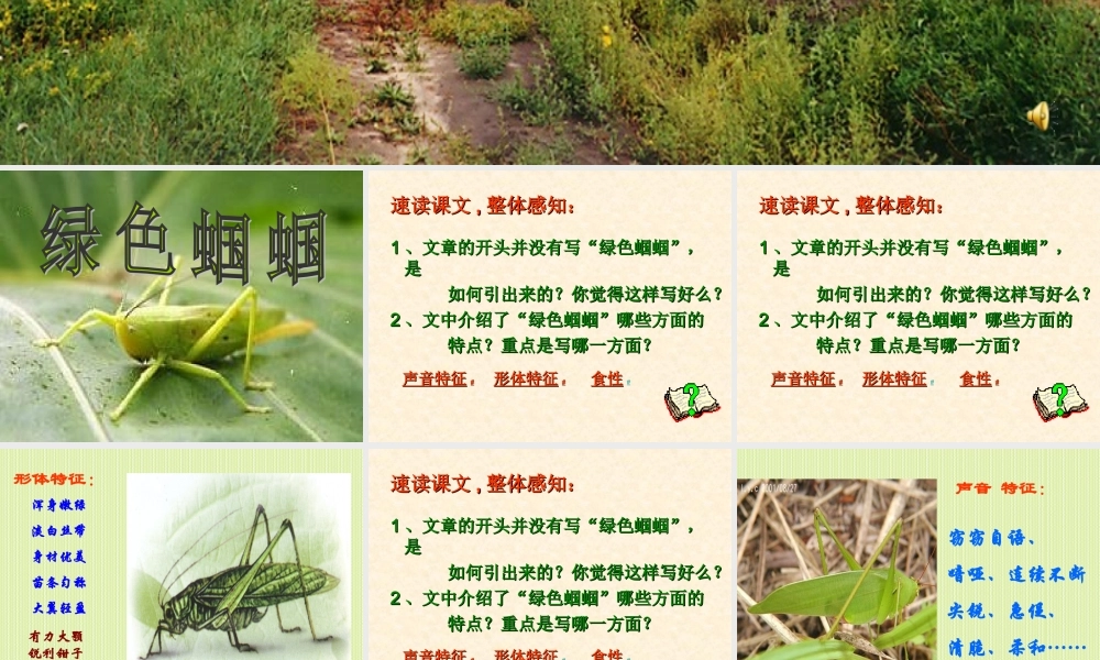 新人教版七年级语文绿色蝈蝈1ppt 课件