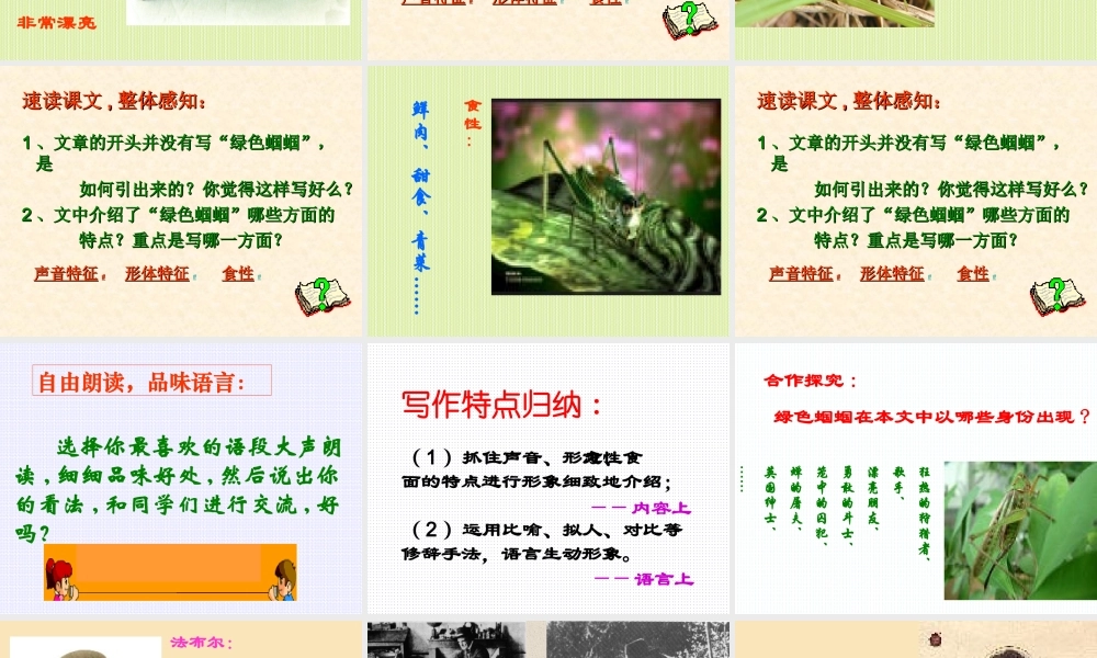 新人教版七年级语文绿色蝈蝈1ppt 课件