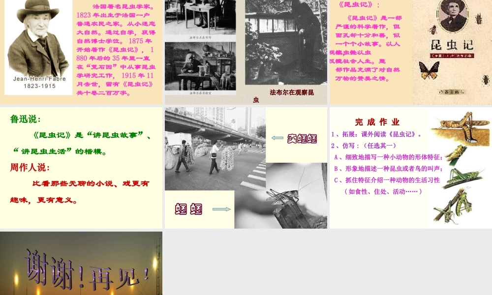 新人教版七年级语文绿色蝈蝈1ppt 课件