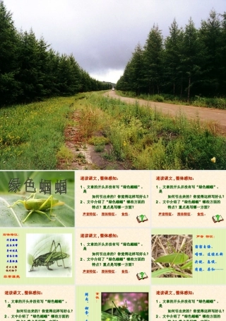 新人教版七年级语文绿色蝈蝈1ppt 课件