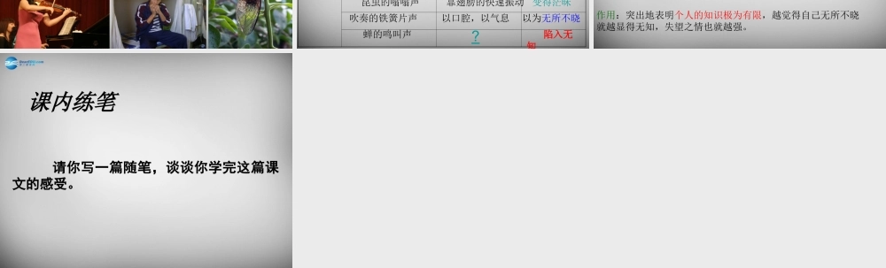 八年级语文下册 12 我们的知识是有限的课件 苏教版 课件