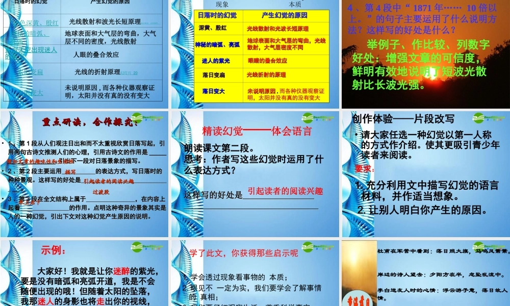 八年级语文上册 (落日的幻觉)课件 人教新课标版 课件