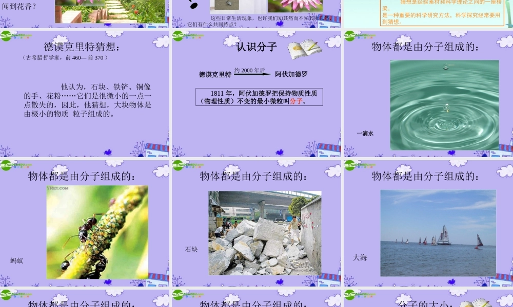 八年级物理下册 认识分子课件2 沪粤版 课件