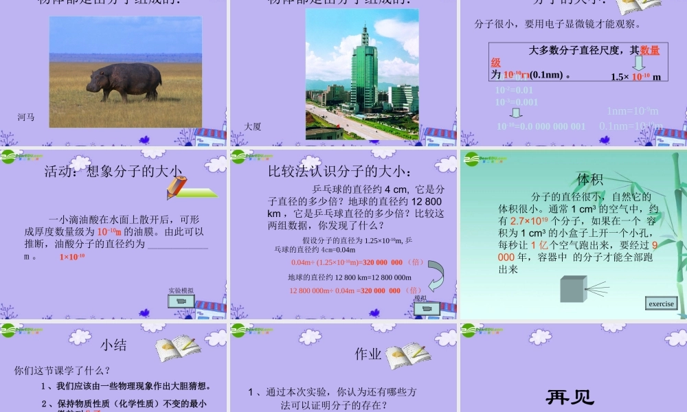 八年级物理下册 认识分子课件2 沪粤版 课件