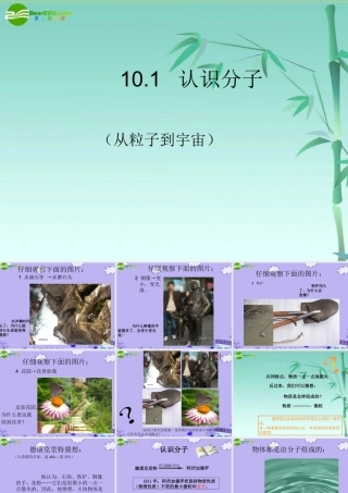 八年级物理下册 认识分子课件2 沪粤版 课件