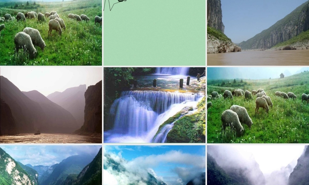 八年级语文上册 18(雨林的毁灭 世界性灾难)课件2 语文版 课件