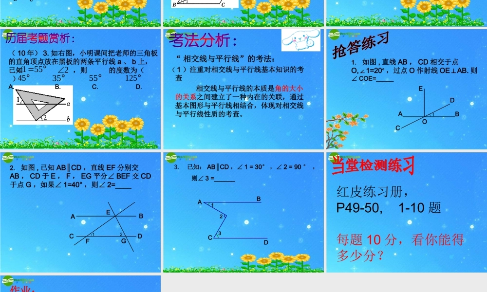 中考数学复习 相交线与平行线 课件 人教新课标版 课件