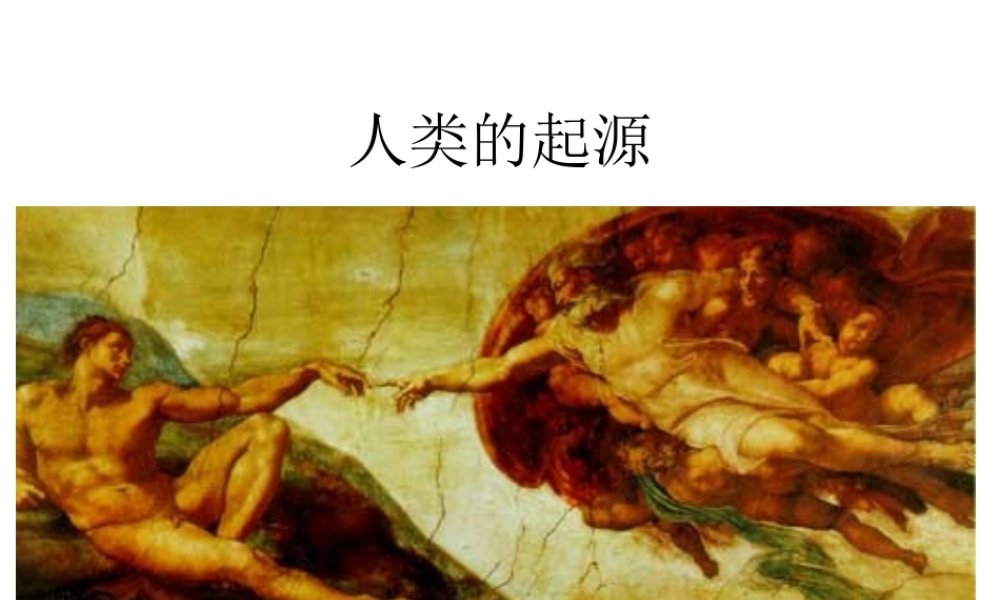 八年级生物下：第五单元第二章第一节人类的起源课件济南版 课件