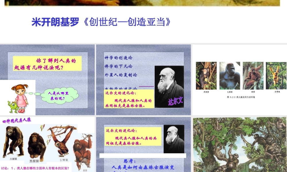 八年级生物下：第五单元第二章第一节人类的起源课件济南版 课件
