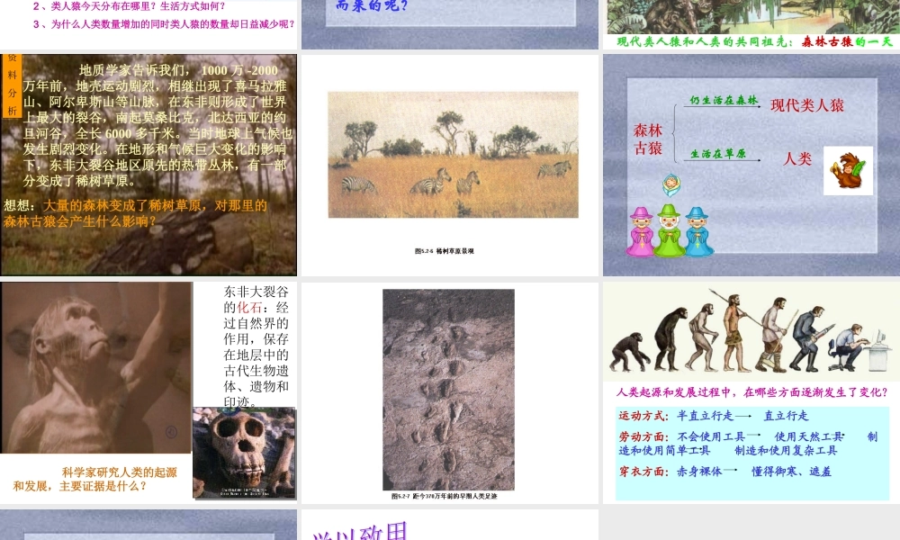 八年级生物下：第五单元第二章第一节人类的起源课件济南版 课件