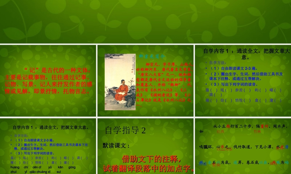 八年级语文上册 16 小石潭记课件2 苏教版 课件