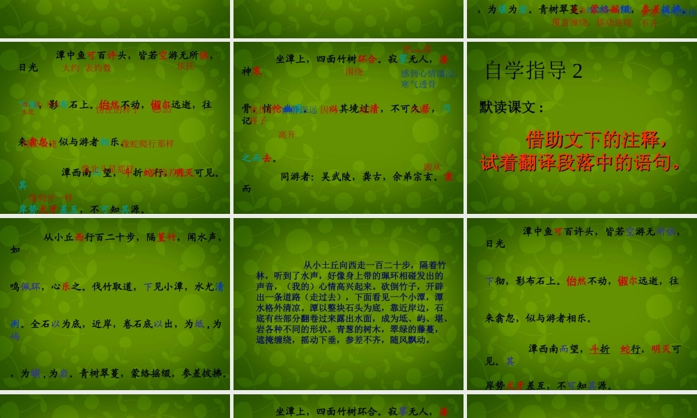八年级语文上册 16 小石潭记课件2 苏教版 课件