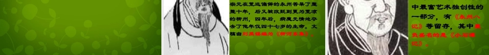 八年级语文上册 16 小石潭记课件2 苏教版 课件