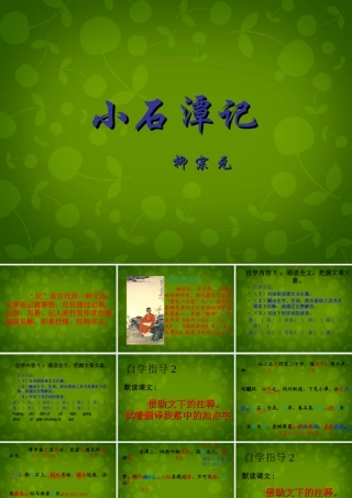 八年级语文上册 16 小石潭记课件2 苏教版 课件