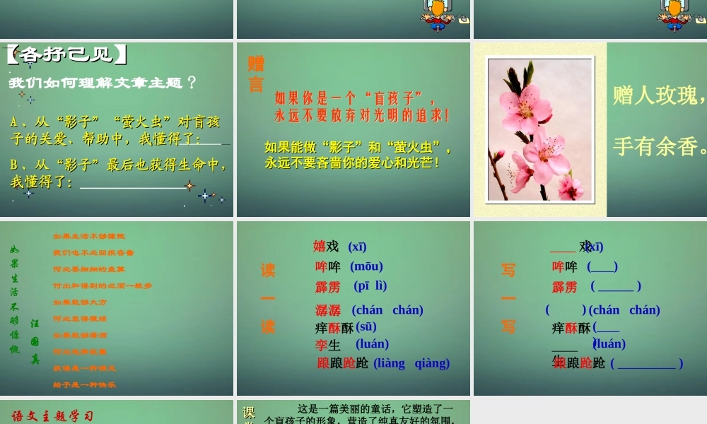 七年级语文上册 第六单元 第29课 盲孩子和他的影子课件 (新版)新人教版 课件