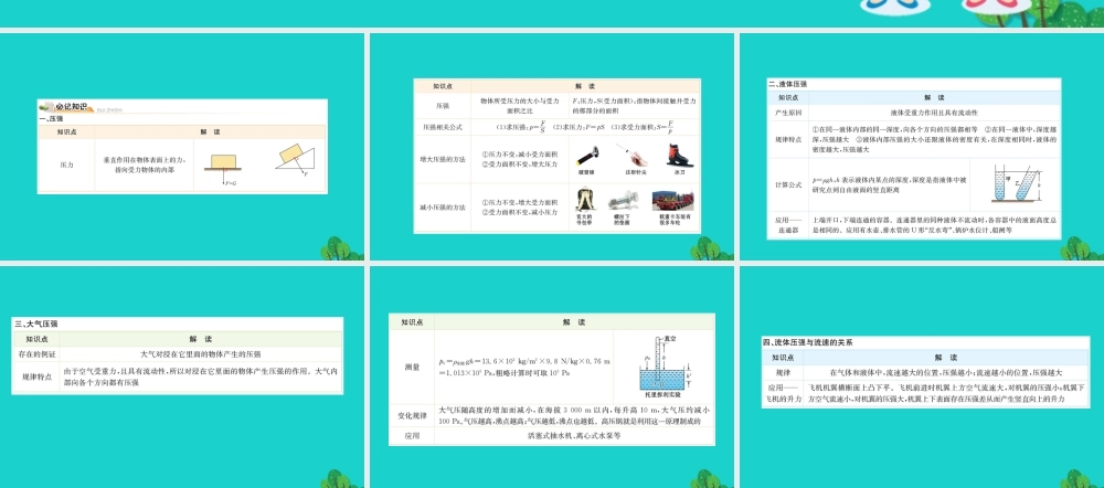 八年级物理下册 期末抢分必胜课 第九章 压强课件 (新版)新人教版 课件