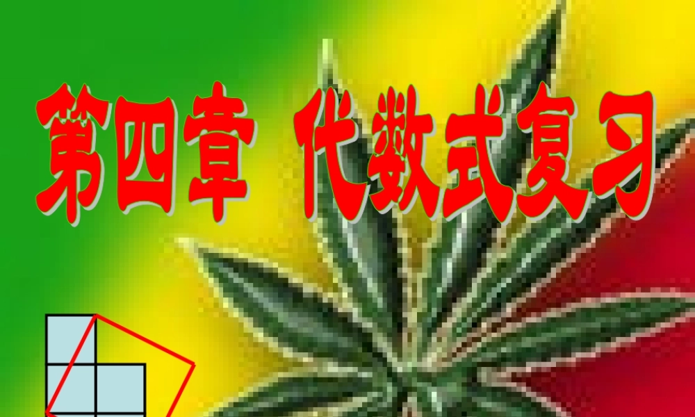 七年级数学上册 第四章代数式复习课件(二) 浙教版 课件