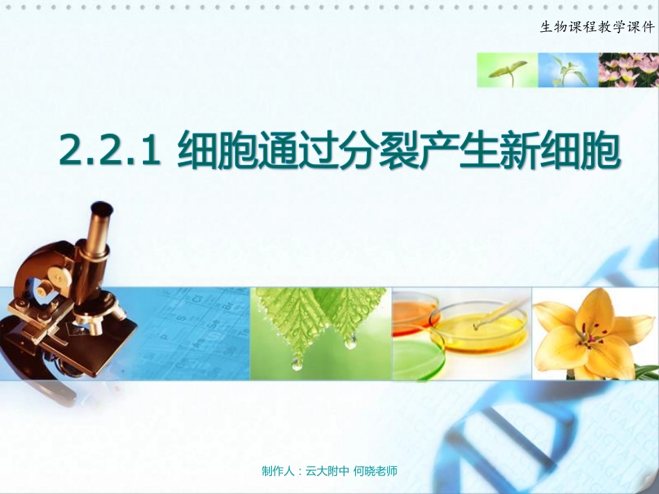 七年级生物上册 细胞通过分裂产生新细胞课件(pdf) 新人教版 课件_第2页