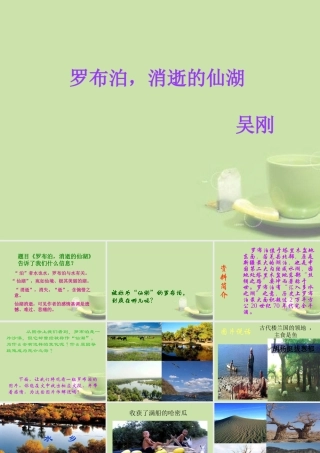八年级语文下册(罗布泊，消逝的仙湖)课件 新人教版 课件