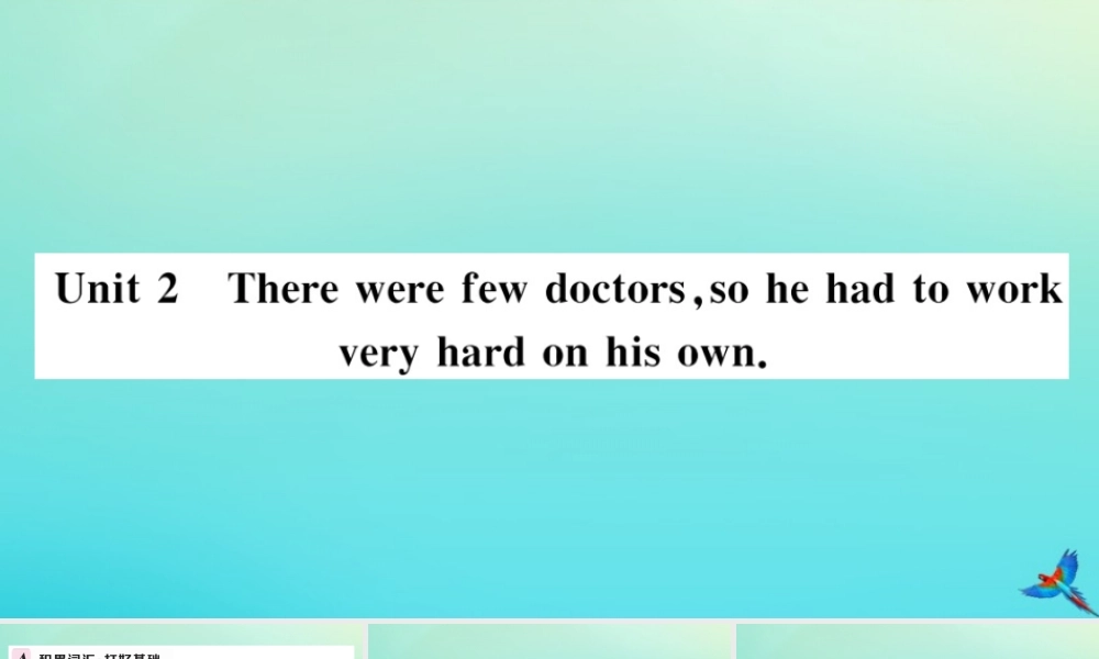 九年级英语上册 Module 3 Heroes Unit 2 There were few doctors，so he had to work very hard on his own习题课件 (新版)外研版 课件