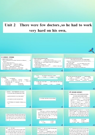 九年级英语上册 Module 3 Heroes Unit 2 There were few doctors，so he had to work very hard on his own习题课件 (新版)外研版 课件