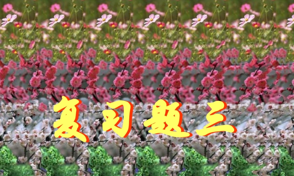 复习题三 初三数学复习题课件[整理十四套]人教版