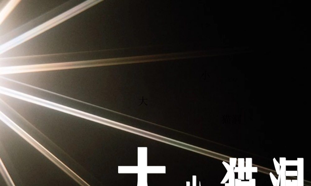 九年级语文上册 第11课(大小猫洞)课件 语文版 课件