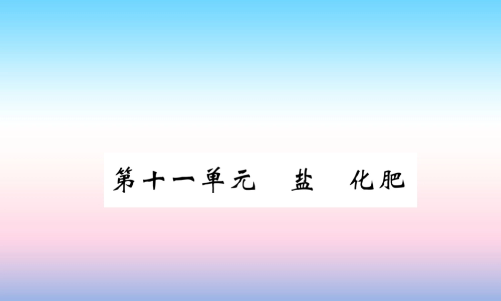 中考化学复习 第1编 教材知识梳理篇 第11单元 盐 化肥(精讲)课件